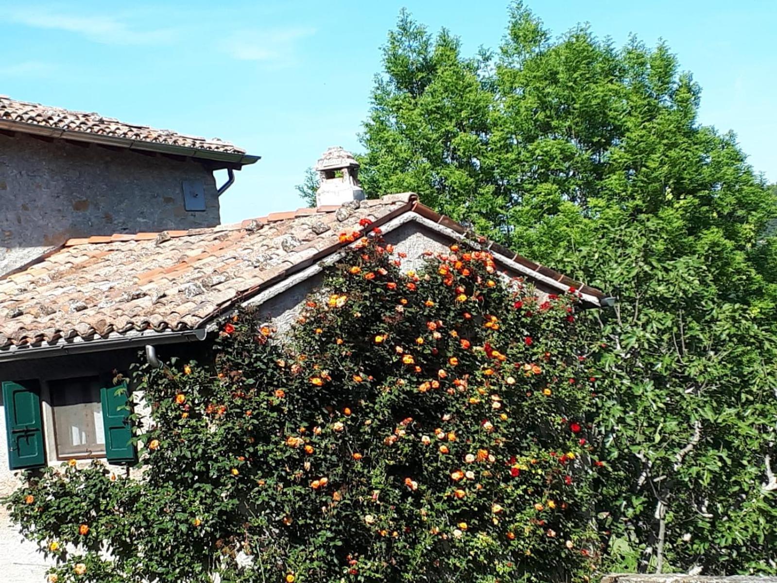 La Corte Bonomini Bed and Breakfast Neviano degli Arduini Exterior foto