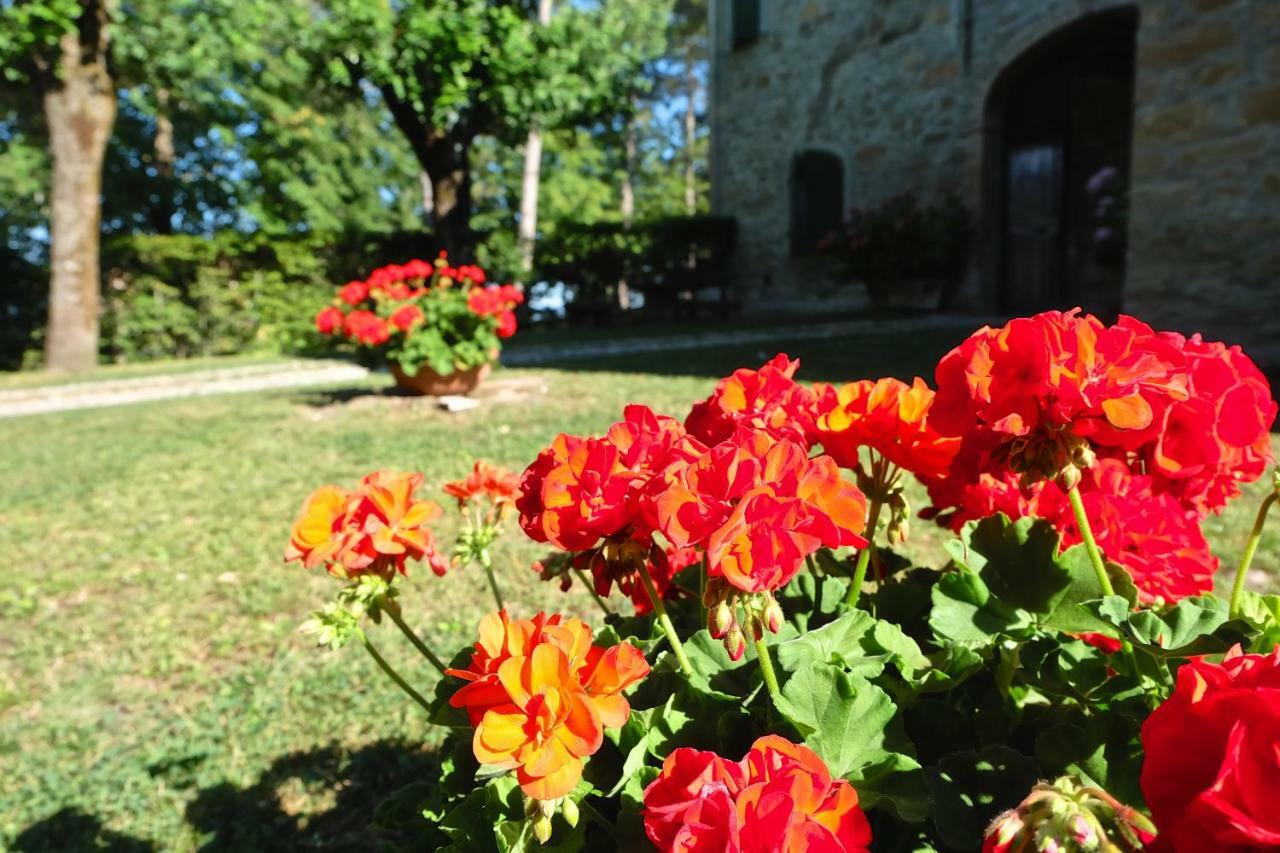 La Corte Bonomini Bed and Breakfast Neviano degli Arduini Exterior foto